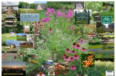 Broadmoor Park