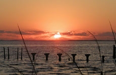 Charlotte Harbor