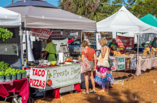 The Dome Flea Market (Venice)